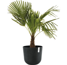 Pflanztopf Ecopots Oslo Kunststoff Ø 35 cm H 30,5 cm dunkelgrau