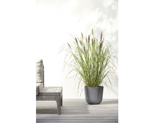 Dekoratives Gras in Pflanzgefäß neben einer Holzbank im Außenbereich.