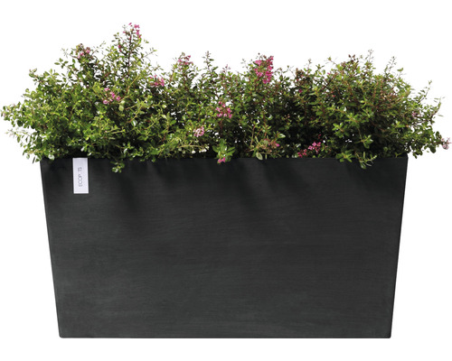 Rechteckiger Pflanzkasten mit Bepflanzung