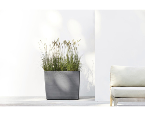Rechteckiger Pflanzkübel aus Beton mit Ziergras
