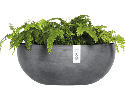 Grauer Ecobots Pflanzkübel mit Farn