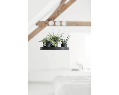 Hängepflanzgefäß mit zwei Pflanzen in Töpfen