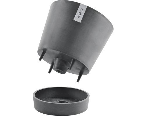 Blumentopf mit Untersetzer