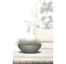 Pflanztopf Ecopots Vienna Kunststoff Ø 50 cm H 18 cm grau