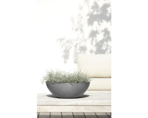 Schale mit Pflanze auf einem Gartentisch