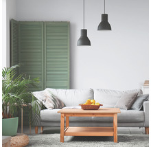 Wohnzimmer mit Sofa, Holztisch, Zimmerpflanze und Raumteiler