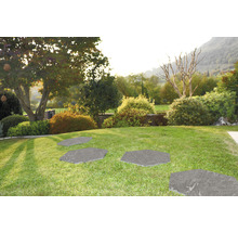Hexagonale Trittplatten aus Stein im Gartenweg