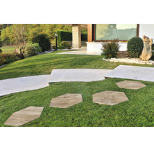 Gartenlandschaft mit Rasen und Steinplattenweg