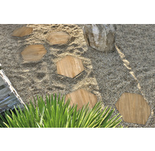 Gartenweg mit sechseckigen Trittplatten aus Holz