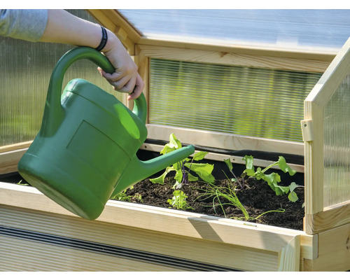 Person gießt Pflanzen in einem Hochbeet mit Frühbeetaufsatz mit einer Gießkanne.