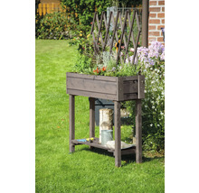 Hochbeet auf Stelzen dobar inkl. Rankgitter rollbar 79 x 28,5 x 130 cm grau-thumb-4 Hochbeet auf Stelzen dobar inkl. Rankgitter rollbar 79 x 28,5 x 130 cm grau-thumb-4