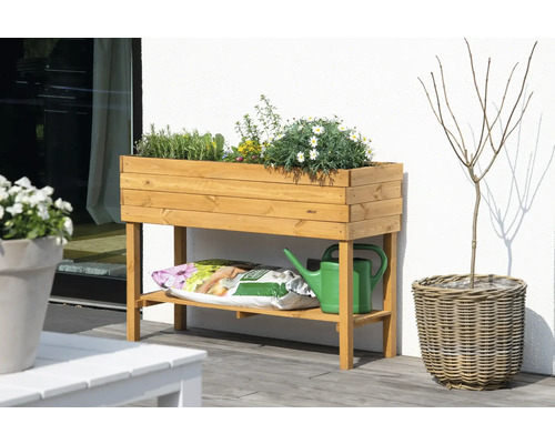 Hochbeet aus Holz mit Pflanzen, Blumenerde und Gießkanne
