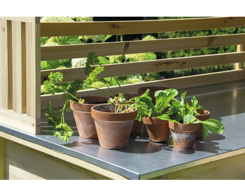 Hochbeet mit Kräutern in Tontöpfen auf Edelstahlarbeitsfläche