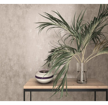 Dekoratives Arrangement mit Zimmerpflanze in Glasvase und Keramikvase auf einem Tisch
