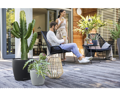Szene mit Pflanzen in Pflanzgefäßen, Sitzmöbeln und entspannten Personen auf einer Terrasse