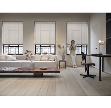 Wohnzimmer mit Fensterrollos, Sofa, Couchtisch und Schreibtisch