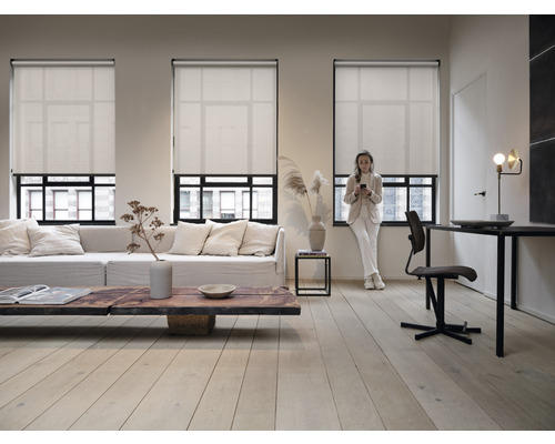 Wohnzimmer mit Fensterrollos, Sofa, Couchtisch und Schreibtisch