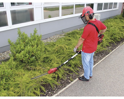 Mann schneidet Hecke mit einer Akku-Heckenschere mit Teleskopstiel und Schutzvorrichtung