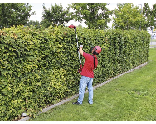 Eine Person schneidet eine Hecke mit einer Akku-Heckenschere mit Teleskopstiel.
