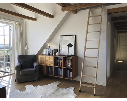 Wohnzimmer mit Bücherregal, Sessel und Holzleiter