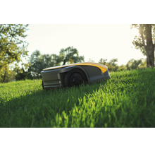 Autonomer Mähroboter STIGA A 1500, drahtlos