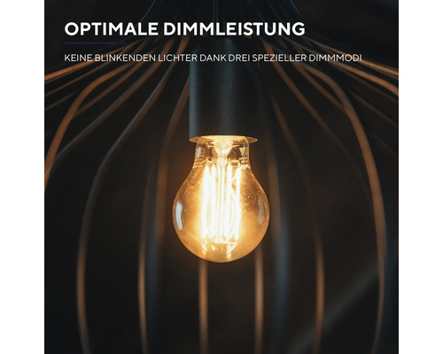 Glühbirne mit Dimmfunktion in einer Drahtleuchte