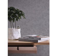 Dekorative Zimmerpflanze in Papiertüte auf einem Holztisch mit Schublade und Büchern vor einer Wand