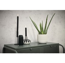 Dekorative Szene mit Kerzen, Vasen und Aloe Vera Pflanze auf einem Schrank