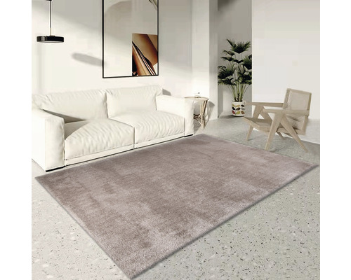 Wohnzimmer mit Teppich, Sofa und Stuhl