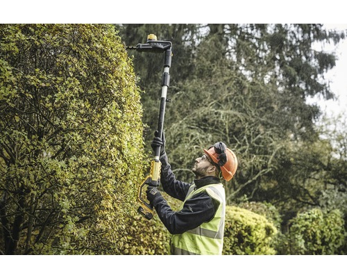 Ein Mann schneidet eine Hecke mit einer Akku-Stielheckenschere.