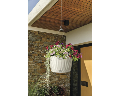 Hängeampel mit bunten Blumen vor einer Hauswand