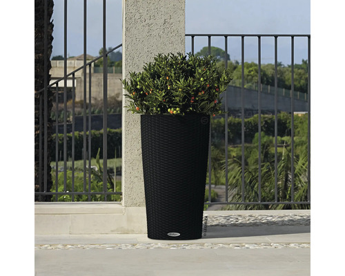 Hoher, schwarzer Pflanzkübel im Außenbereich mit Pflanze