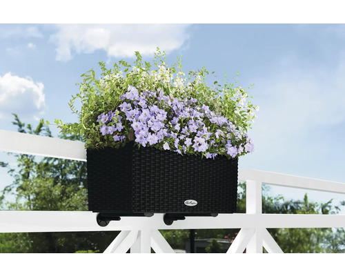 Blumenkasten aus Kunststoff in Rattanoptik mit Blumen an einem Geländer