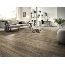 Laminatboden SwissKrono 12.0 50182 CINEREA NATUR ROBUSTO-thumb-5 Laminatboden SwissKrono 12.0 50182 CINEREA NATUR ROBUSTO-thumb-5