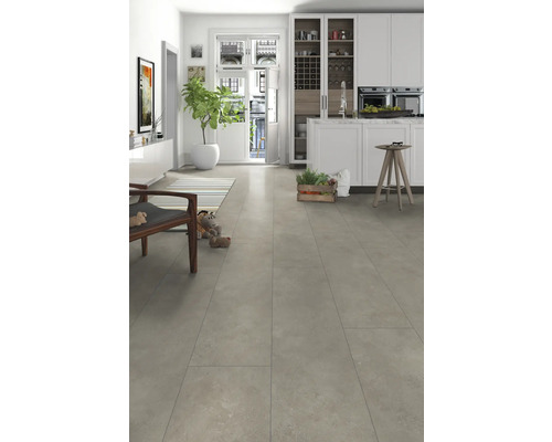 Heller Wohnraum mit Fliesenboden, Küche und Dekoration