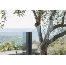 Detailaufnahme einer Glasbrüstung mit Baum und Lichterkette im Außenbereich