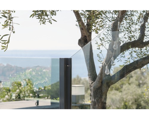 Detailaufnahme einer Glasbrüstung mit Baum und Lichterkette im Außenbereich