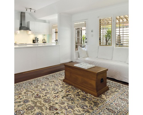 Wohnzimmer mit gemustertem Teppich, Holztruhe und weißem Sofa vor einem Küchenbereich.