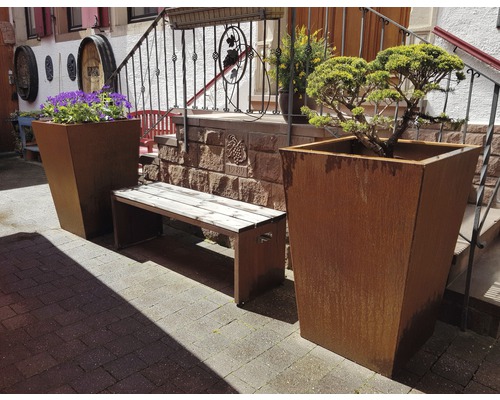 Außenbereich mit Pflanzenkübeln, Blumen und einer Bank