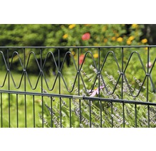 Doppelstabmatten-Set ALBERTS Eleganz 200 x 100 cm, 14 m anthrazit-thumb-1 Doppelstabmatten-Set ALBERTS Eleganz 200 x 100 cm, 14 m anthrazit-thumb-1