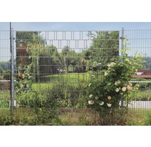 Doppelstabmattenzaun mit Gartendekoration und Pflanzen