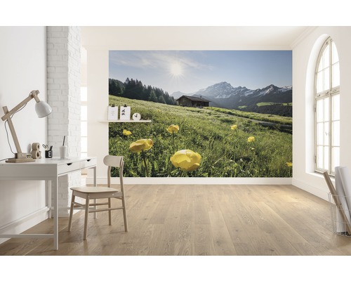 Fototapete mit Berglandschaft und Almhütte in einem hellen Raum