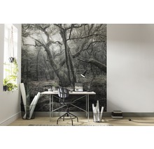 Szene mit einer Fototapete mit Waldmotiv hinter einem Schreibtisch