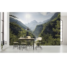 Wohnraum mit Fototapete eines bewaldeten Bergtals, Esstisch und Stühlen
