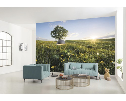 Wohnzimmer mit Fototapete einer Wiese mit Baum
