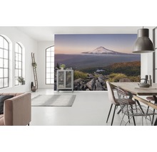 Helles Wohnzimmer mit Fototapete eines Berges