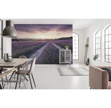 Helles Wohnzimmer mit Wandbild eines Lavendelfeldes bei Sonnenuntergang, Esstisch und Sofa