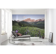 Fototapete Vlies SHX9-069 Picturesque Star Warsitz 9-tlg. 450 x 280 cm