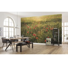 Esszimmer mit Esstisch, Stühlen, Sitzbank und Fototapete mit Mohnblumenwiese