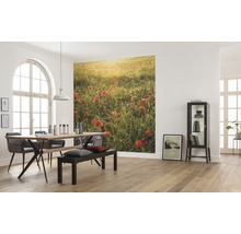 Helles Esszimmer mit Esstisch, Stühlen, Sitzbank und Fototapete mit Mohnblumenwiese